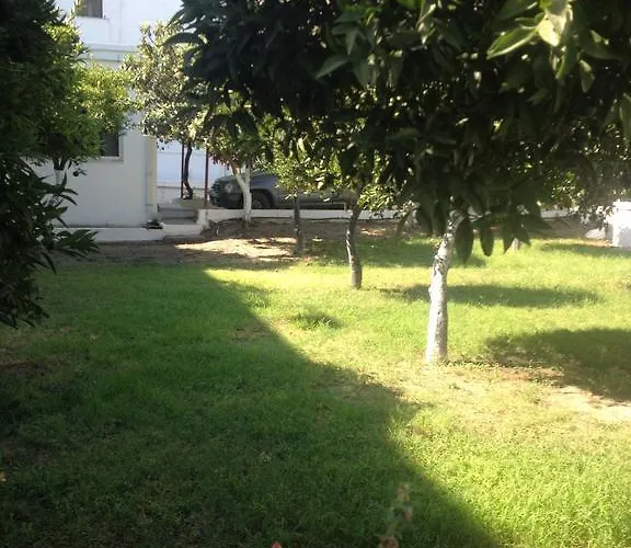 Manos