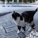 Manos Faliraki
