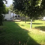 Manos